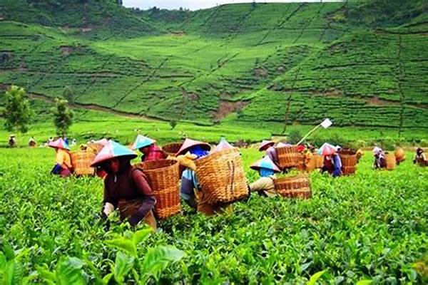 promo-wisata-kasino-hybrid-di-dubai-jadi-incaran-turis_76c944bf0.jpg